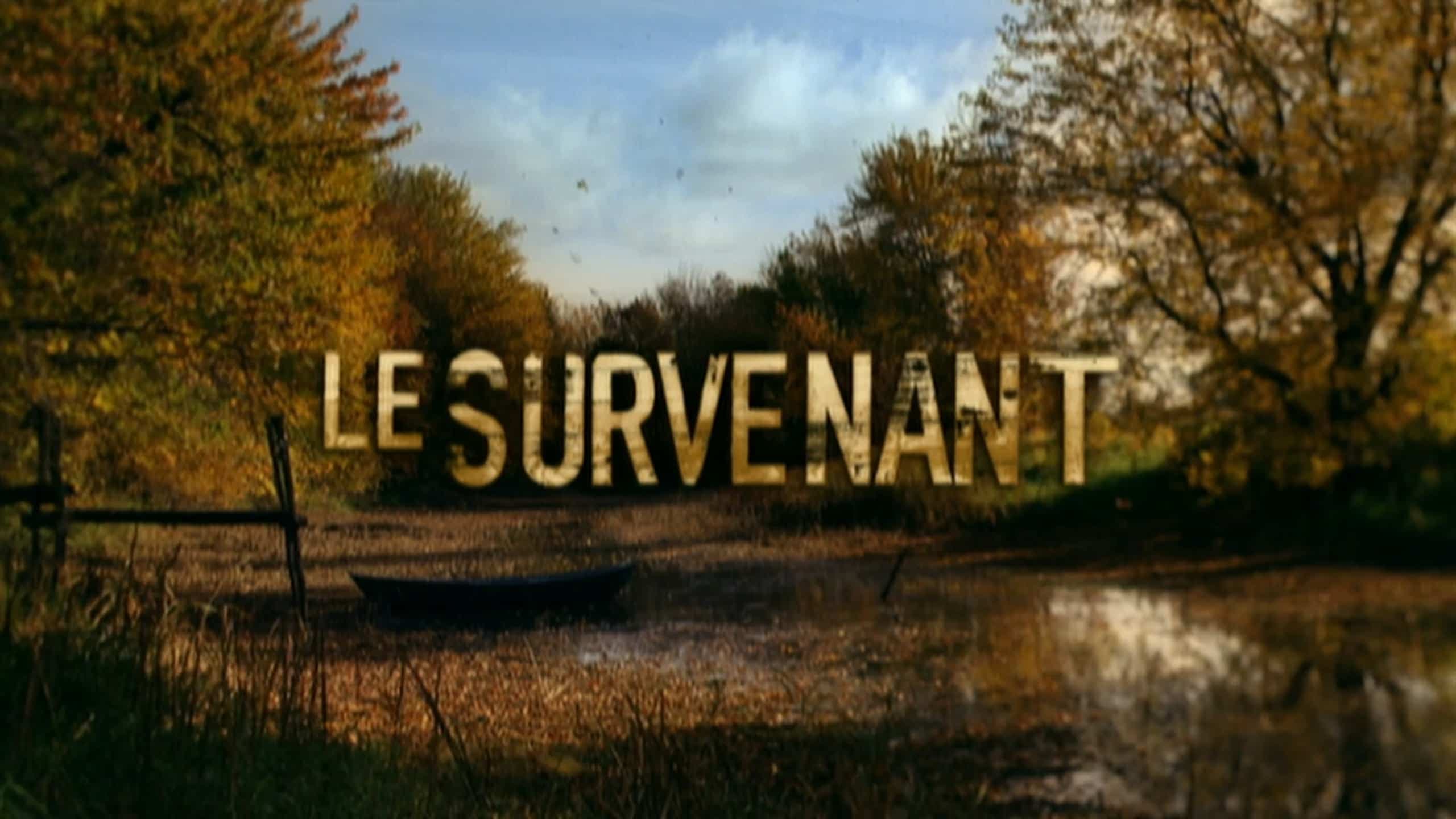 Le survenant | Film | illico+